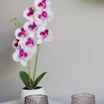 Alion House *